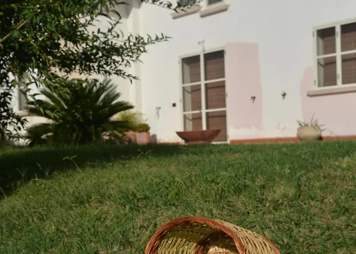 B&B Macchia d'Olmo